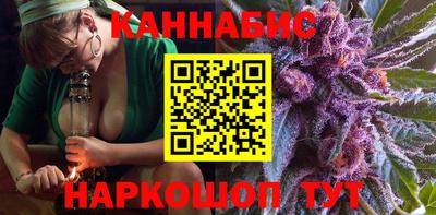 сатива Кингисепп