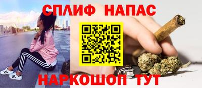 гидра Кимры