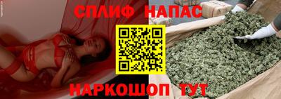 гидра Кимры