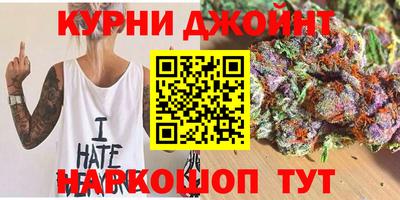 сатива Кингисепп