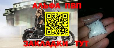 сатива Кингисепп