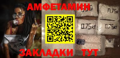 сатива Кингисепп