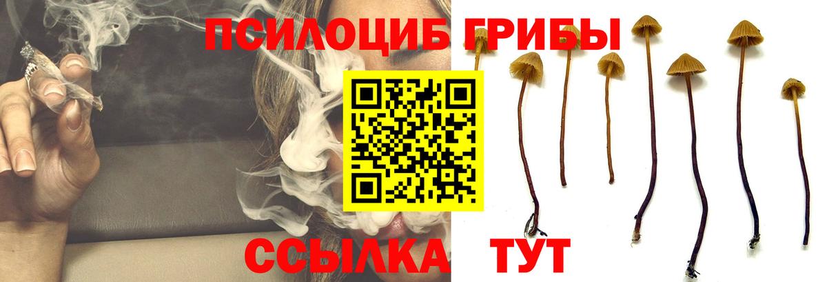 Псилоцибиновые грибы GOLDEN TEACHER  Псилоцибиновые грибы GOLDEN TEACHER  Костомукша  Вход с VPN 